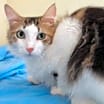 Thumbnail photo of Mason #2