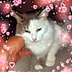 Thumbnail photo of Baby #1
