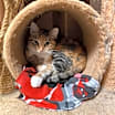 Thumbnail photo of Sarah #4