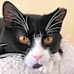 Thumbnail photo of SuzyQ #1