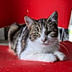 Thumbnail photo of Fiona #1