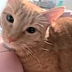 Thumbnail photo of Finn  #4