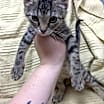 Thumbnail photo of Thelma #3