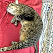 Thumbnail photo of Carol #3