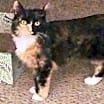 Thumbnail photo of liza #1