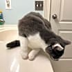 Thumbnail photo of Grace #4