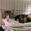Thumbnail photo of Fiona #2