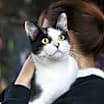 Thumbnail photo of Luciano #1