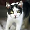 Thumbnail photo of Luciano #2