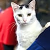 Thumbnail photo of Duncan #1