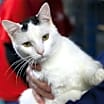 Thumbnail photo of Duncan #2