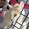 Thumbnail photo of Prince #1