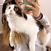 Thumbnail photo of Youra  #3