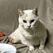 Thumbnail photo of Murphy #1