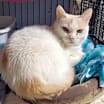 Thumbnail photo of Prince #2