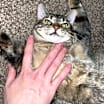 Thumbnail photo of Carrie #4