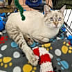 Thumbnail photo of Lexie #4