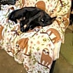 Thumbnail photo of Cora #3
