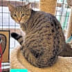 Thumbnail photo of Jillian #1
