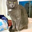 Thumbnail photo of Maggie #4