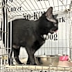 Thumbnail photo of Jasmine #2