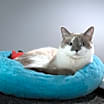 Thumbnail photo of Precious #3