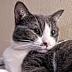 Thumbnail photo of Mia #4
