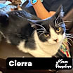 Thumbnail photo of Cierra #1
