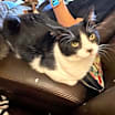 Thumbnail photo of Cierra #2