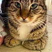 Thumbnail photo of JEFFIE #1