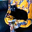 Thumbnail photo of Bridgette #1