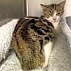 Thumbnail photo of Fiona #3
