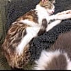 Thumbnail photo of Fiona #4