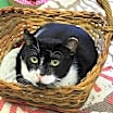 Thumbnail photo of Charlie #1
