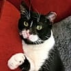 Thumbnail photo of Charlie #2