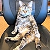 Thumbnail photo of Dutchess #2