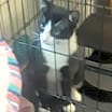 Thumbnail photo of Shirley #2