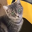 Thumbnail photo of KIWI! #1