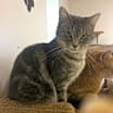 Thumbnail photo of KIWI! #3