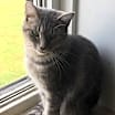 Thumbnail photo of KIWI! #4