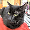 Thumbnail photo of Addie #1