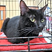 Thumbnail photo of Addie #2