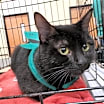 Thumbnail photo of Addie #3