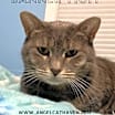 Thumbnail photo of Banner Mom (Freda) #1