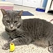 Thumbnail photo of Banner Mom (Freda) #2