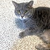 Thumbnail photo of Banner Mom (Freda) #3