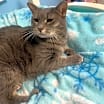 Thumbnail photo of Banner Mom (Freda) #4