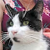 Thumbnail photo of Ben #1