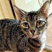 Thumbnail photo of DOT #1