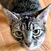 Thumbnail photo of DOT #3